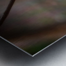 Tropical Daydream Metal print