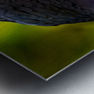 Midnight Gaze Metal print