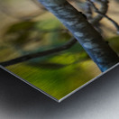 Tropical Whisper Metal print