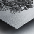 Fragmented Muse Impression metal