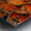 Autumn Harvest Glow Metal print