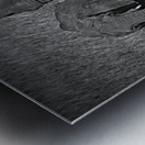 Elephants at the Waterhole Metal print