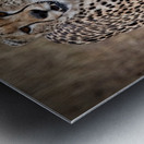 Cheetah Walk Impression metal