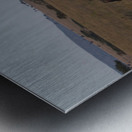 Sentinels of the Plains Metal print