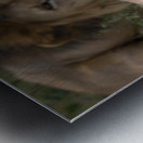 Royal Rest Impression metal