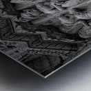 Carved Heritage I Metal print