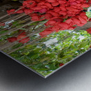 Wishes in Red Impression metal