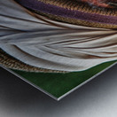 Smoke and Stories Impression metal