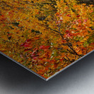 Pathway to Autumn Impression metal