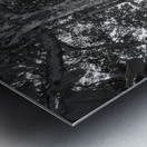 Roots of Time Metal print