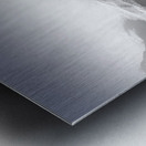 Frozen Kingdom Impression metal