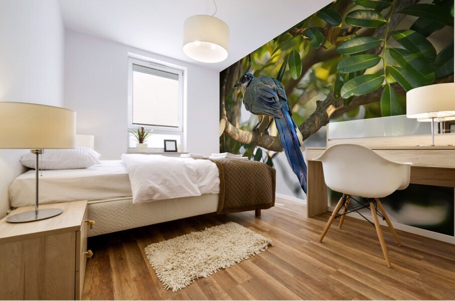 Blue-Crest Sentinel Mural print