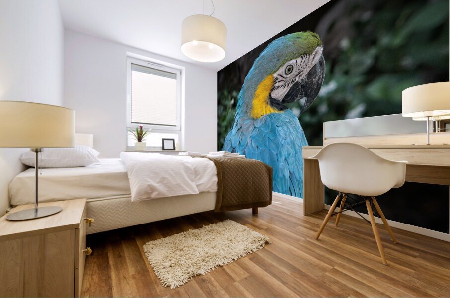 Feathered Jewel Mural print