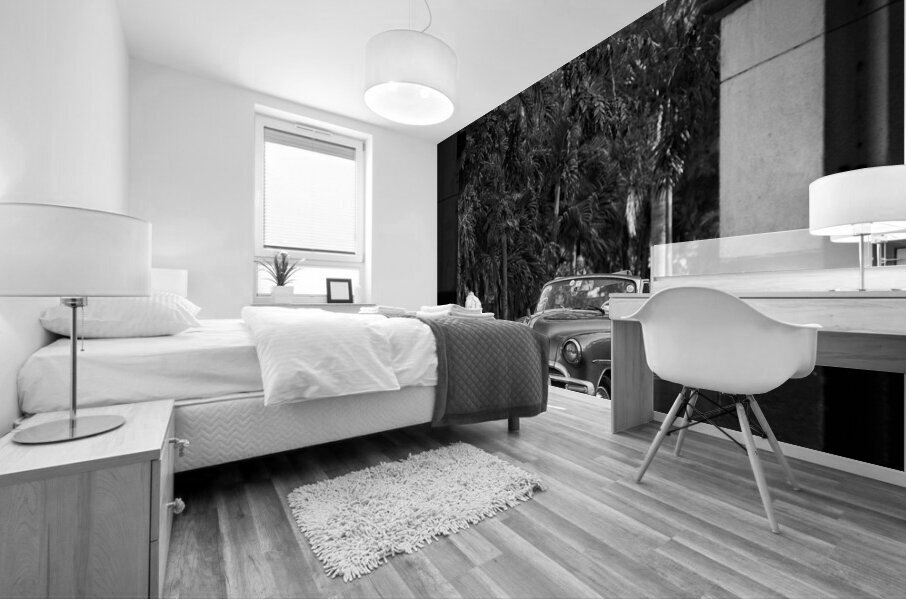 Havana Through the Archway Impression murale