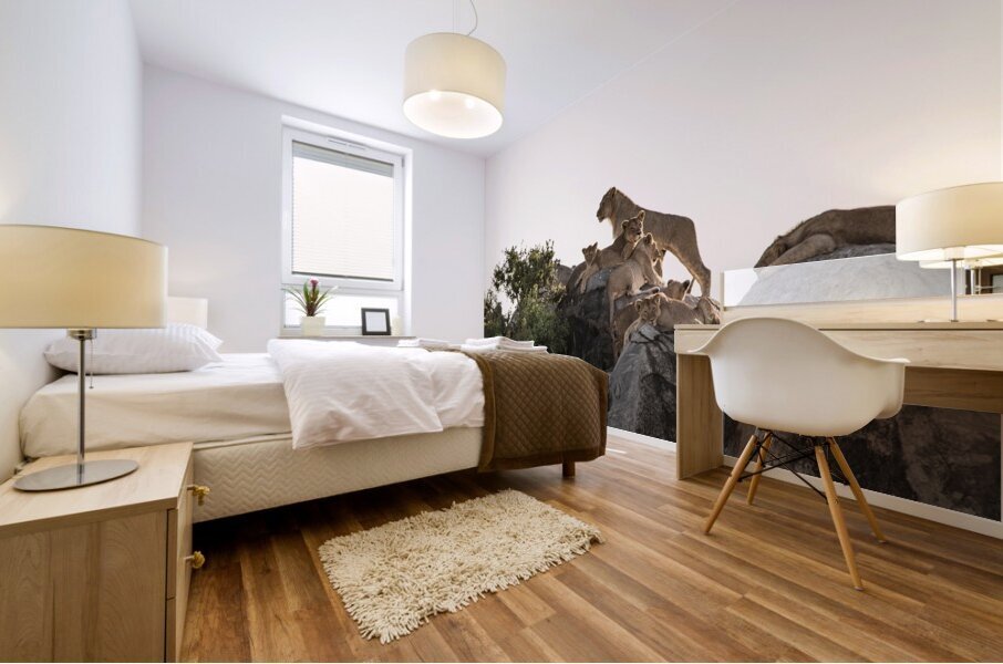 Pride on the Rocks Mural print