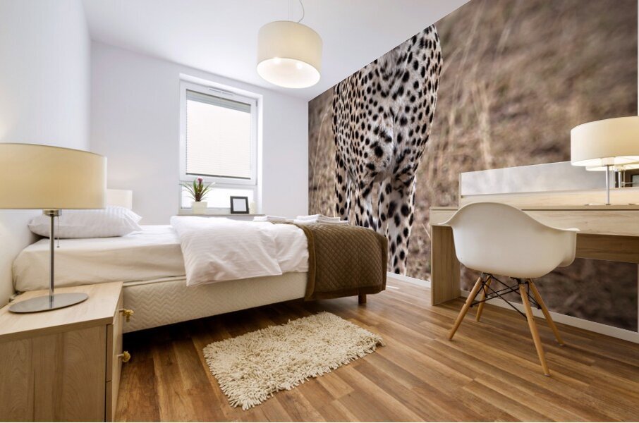 Cheetah Walk Impression murale