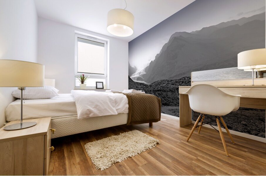 Frozen Kingdom Impression murale