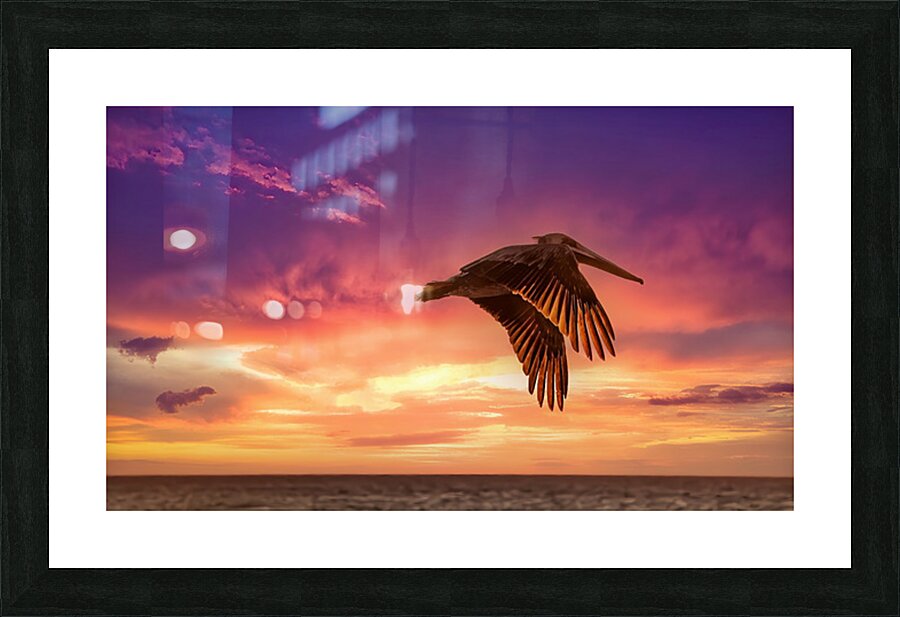 Soaring Into the Light Picture Frame print