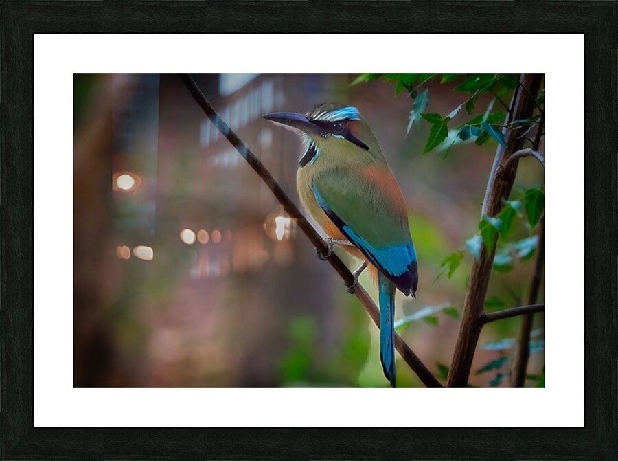 Tropical Daydream Picture Frame print