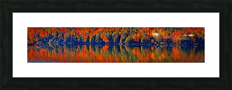 Autumn Forest Reflection Picture Frame print