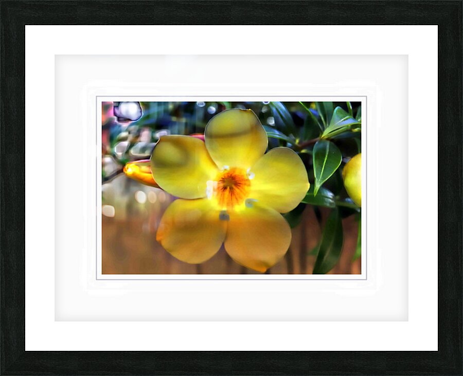 Yellow Flower Glow Picture Frame print