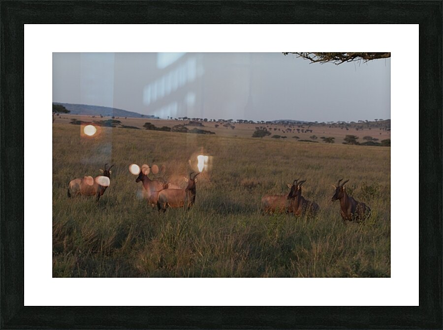 Sentinels of the Plains Picture Frame print