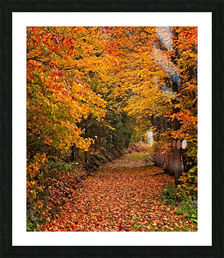 Pathway to Autumn Impression et Cadre photo
