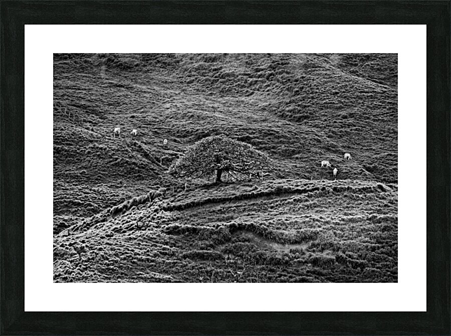 Hills of Time Impression et Cadre photo