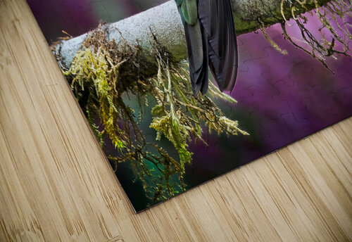 Quiet Jewel Chirag Pandya puzzle