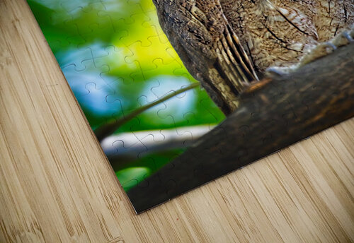 Silent Sentinel Chirag Pandya puzzle