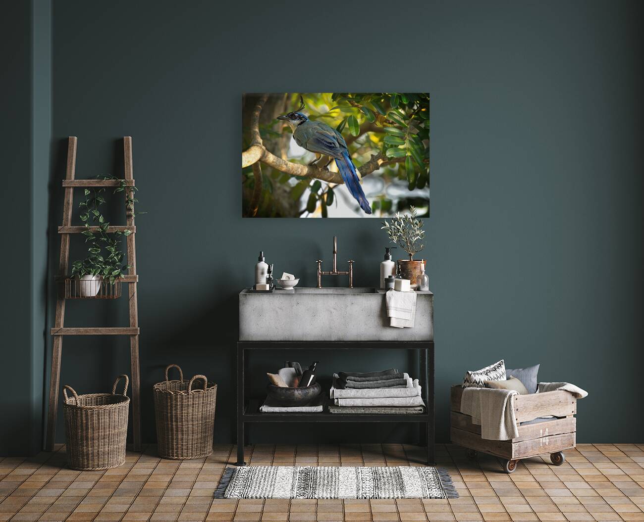 Blue-Crest Sentinel Reproduction