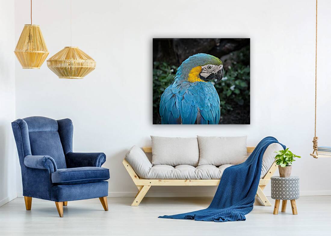 Feathered Jewel Reproduction