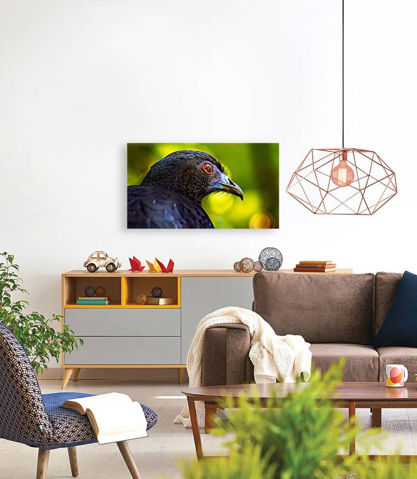 Midnight Gaze Reproduction