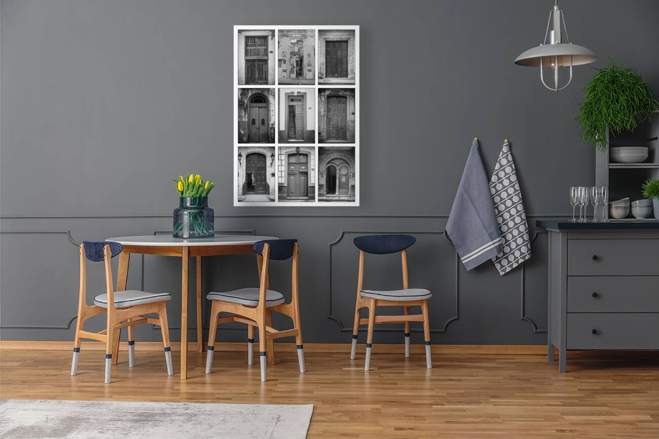 Doors in Black and White Reproduction