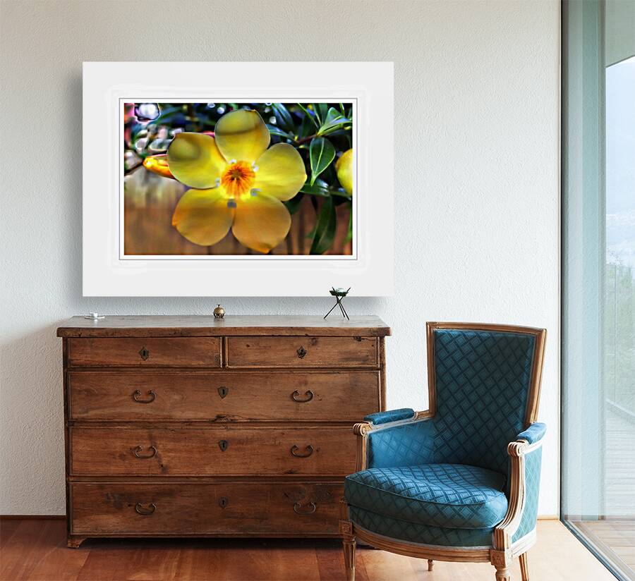 Yellow Flower Glow Reproduction