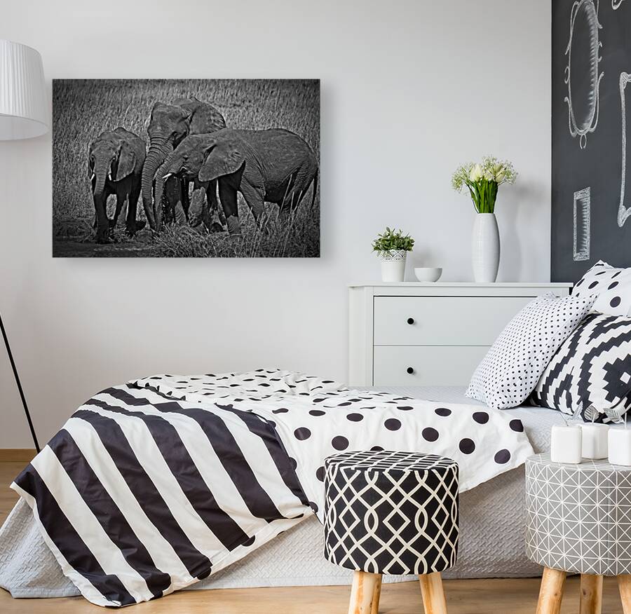 Elephants at the Waterhole Reproduction