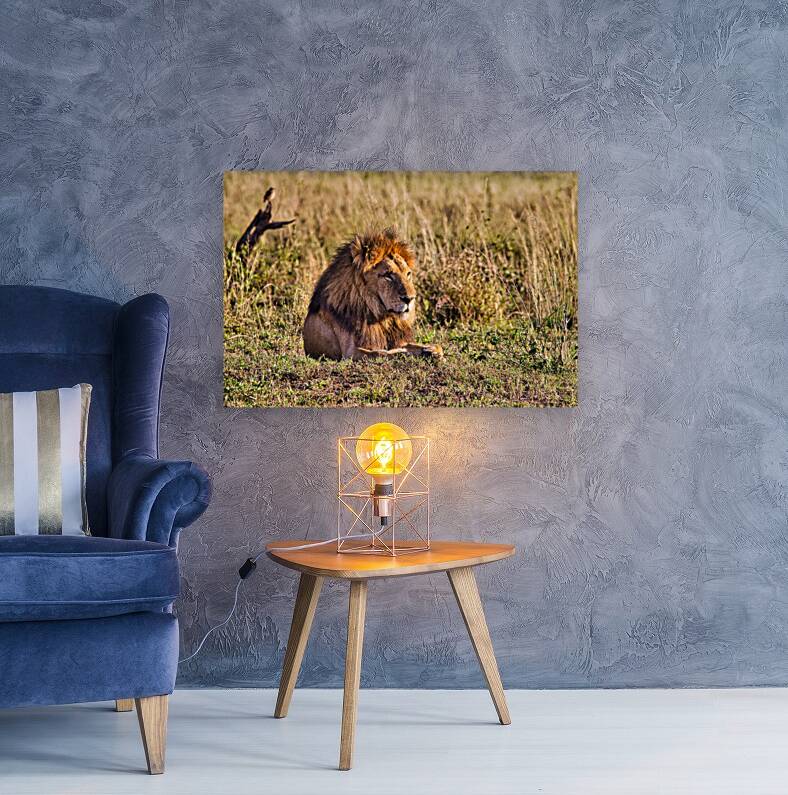 Majestic Morning King Reproduction