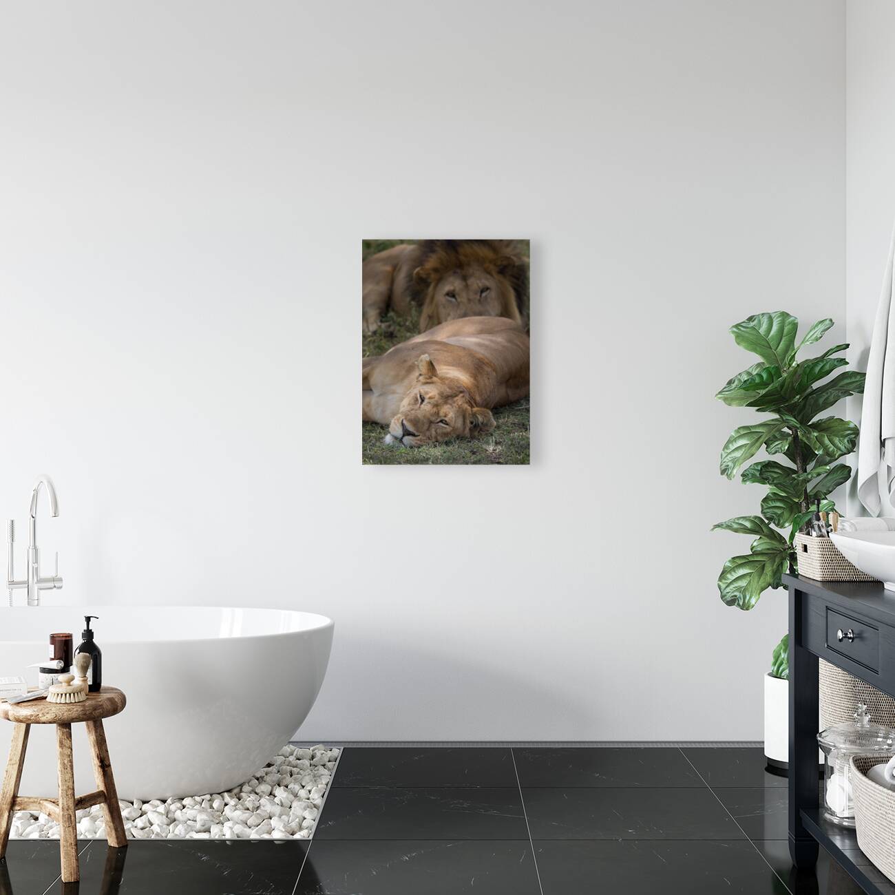 Royal Rest Reproduction