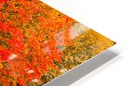 Autumn Park by the Water Impression metal HD