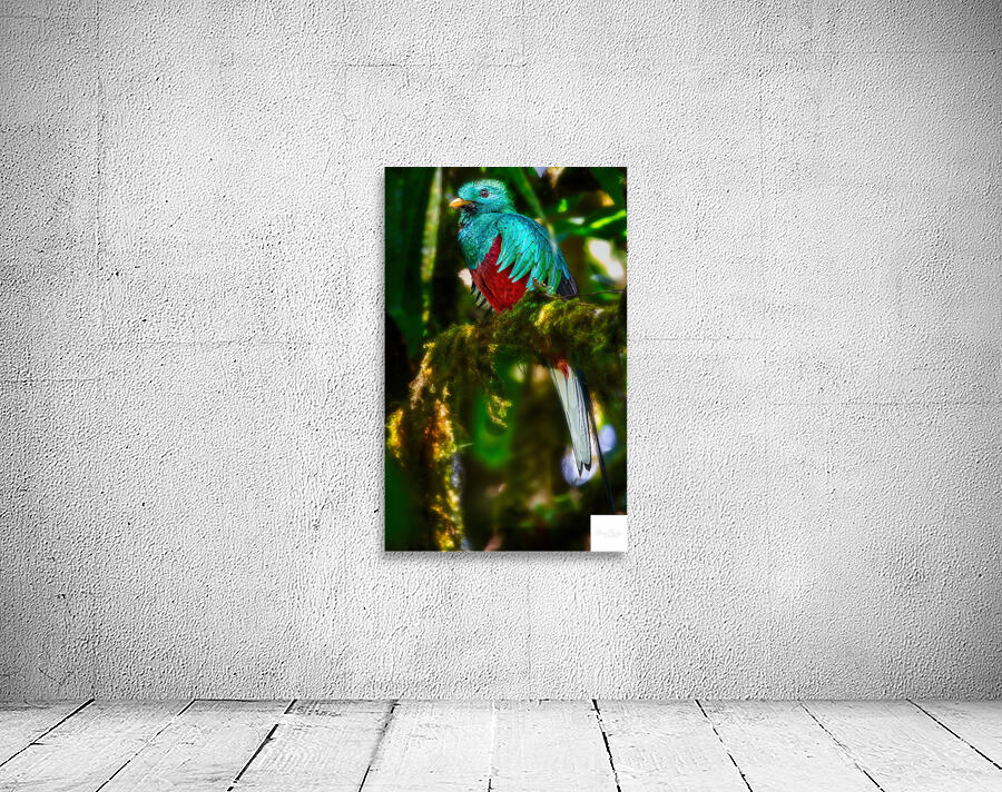 Jewel of the Cloud Forest Wall Preview