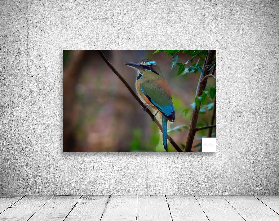 Tropical Daydream Wall Preview