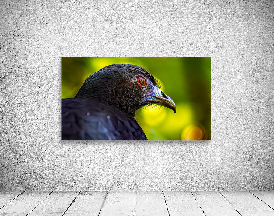 Midnight Gaze Wall Preview