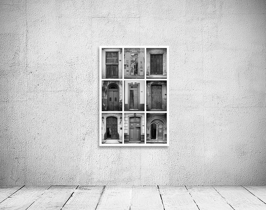 Doors in Black and White Wall Preview