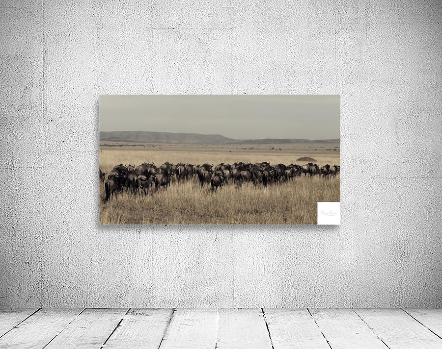 Wildebeest Migration Line Wall Preview