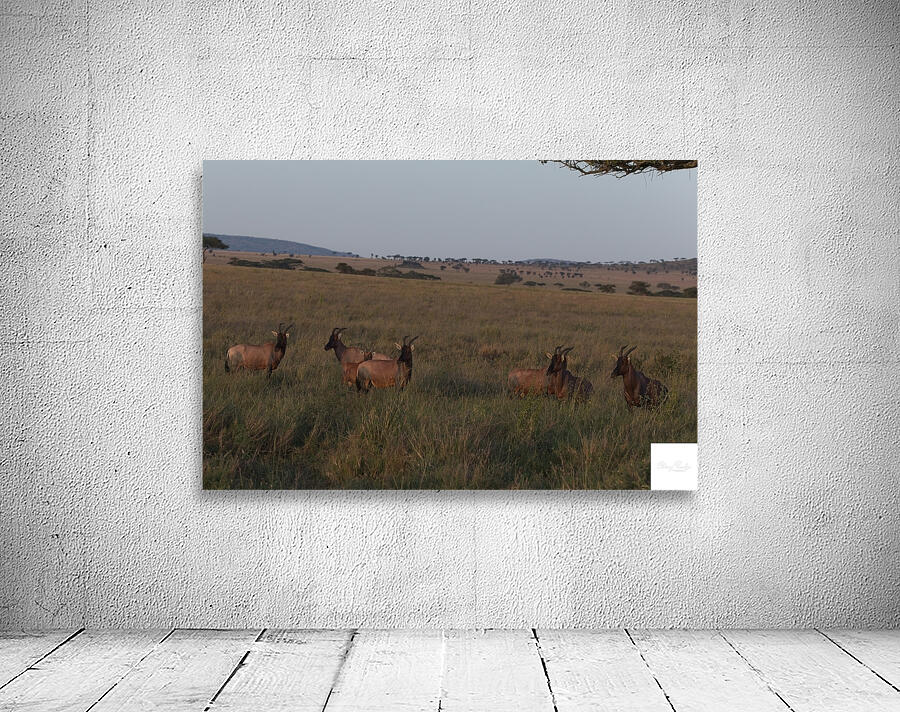 Sentinels of the Plains Wall Preview