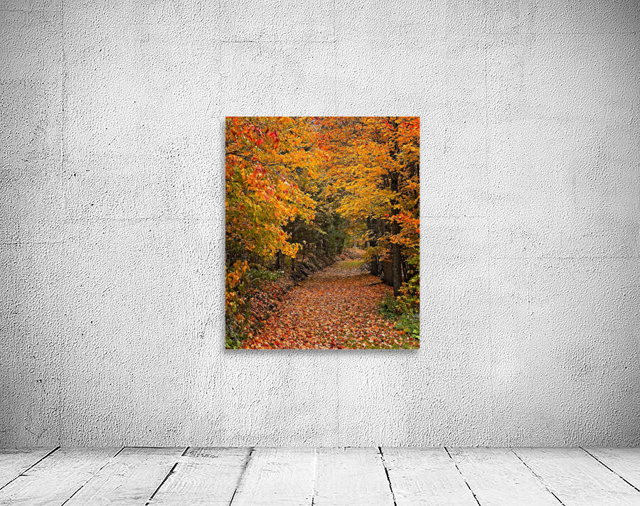 Pathway to Autumn Wall Preview