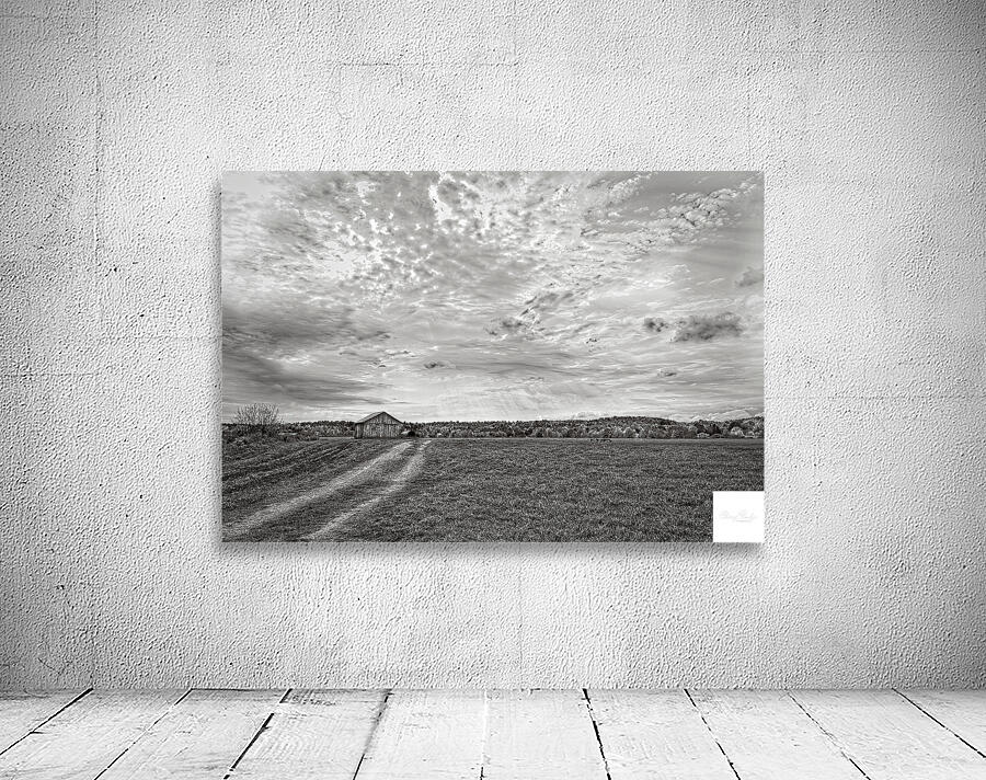 Light Over Quiet Lands Wall Preview