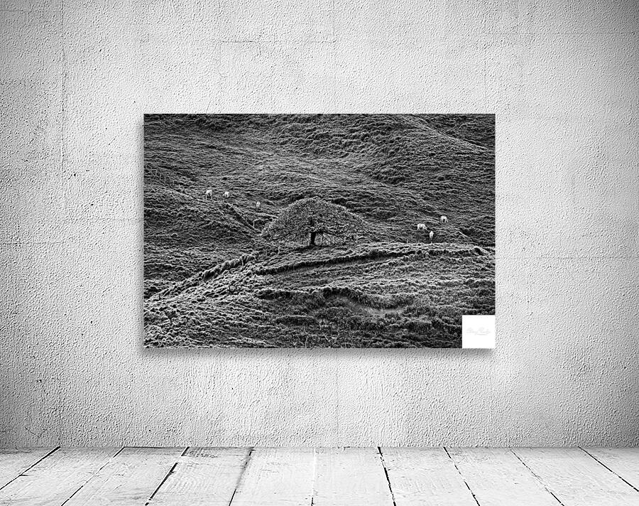 Hills of Time Wall Preview