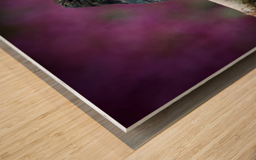 Quiet Jewel Impression sur bois