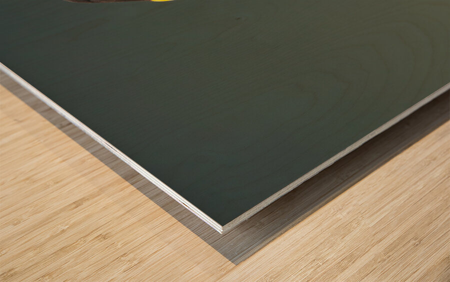 Fire in the Canopy Wood print